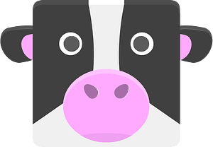 Square animal face 7-19 cow