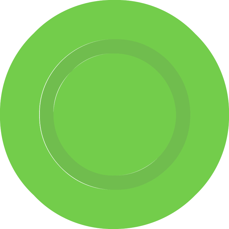 Green piece 20 chip