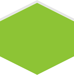 Hexagon flat terrain 03-01 green