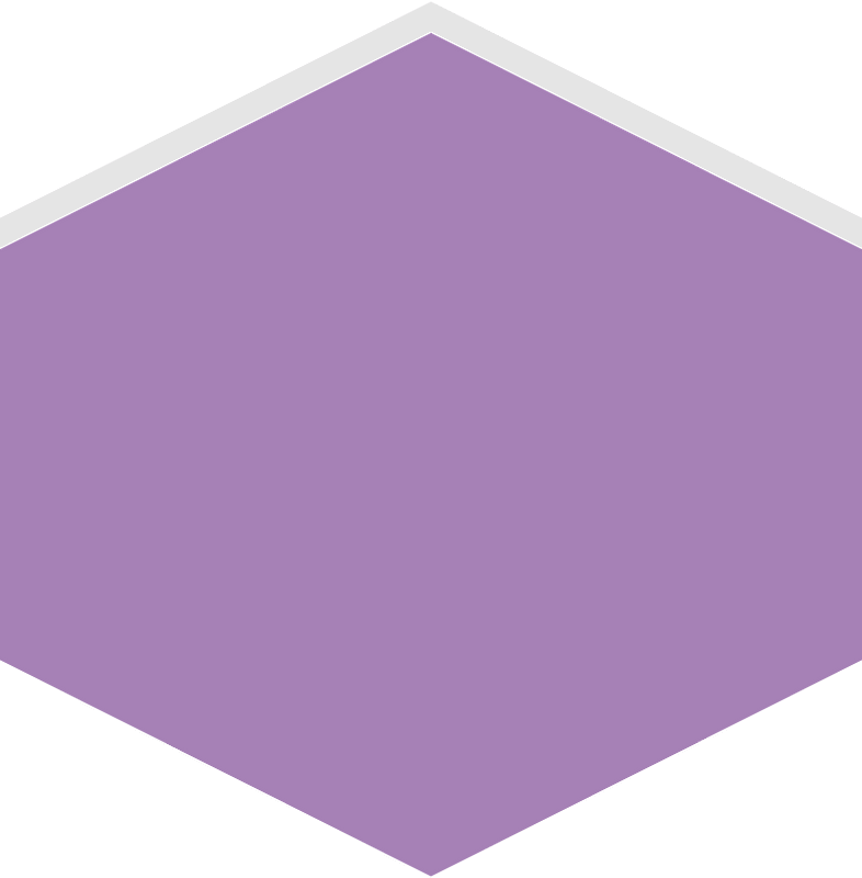 Hexagon flat terrain 03-02 purple