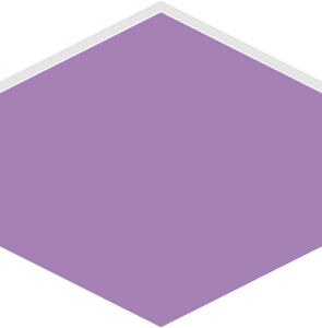 Hexagon flat terrain 03-02 purple