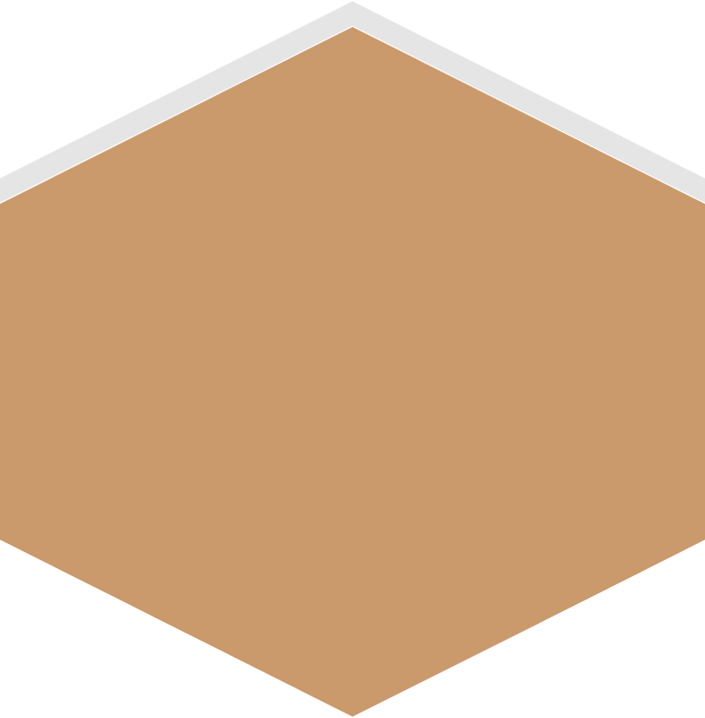 Hexagon flat terrain 03-06 brown