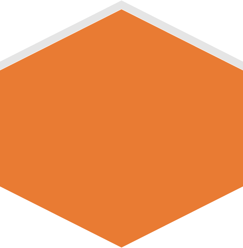 Hexagon flat terrain 03-08 orange