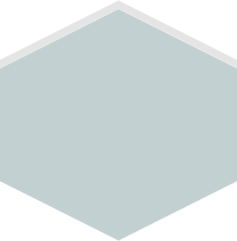 Hexagon flat terrain 03-09 grey