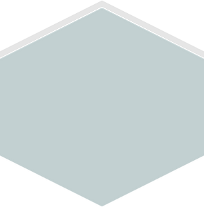 Hexagon flat terrain 03-09 grey