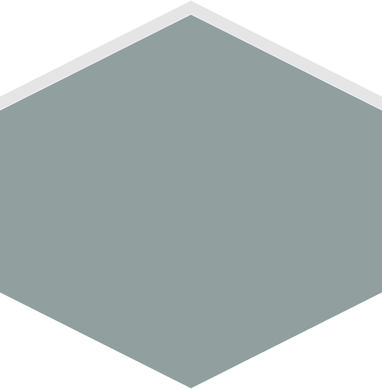 Hexagon flat terrain 03-10 grey