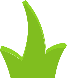 Green plant 05 shaded