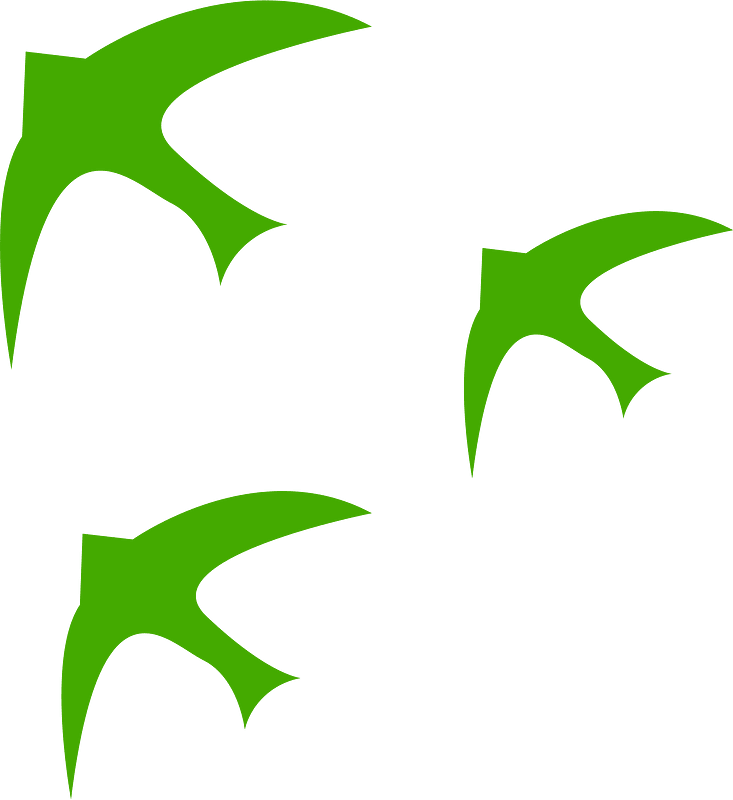 Birds eco