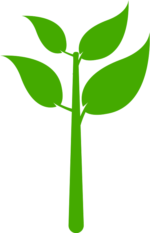 Plat eco