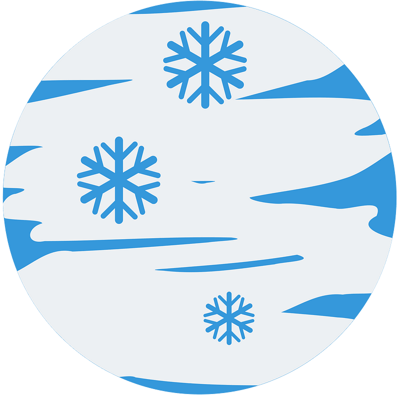 daylight fog snowflakes