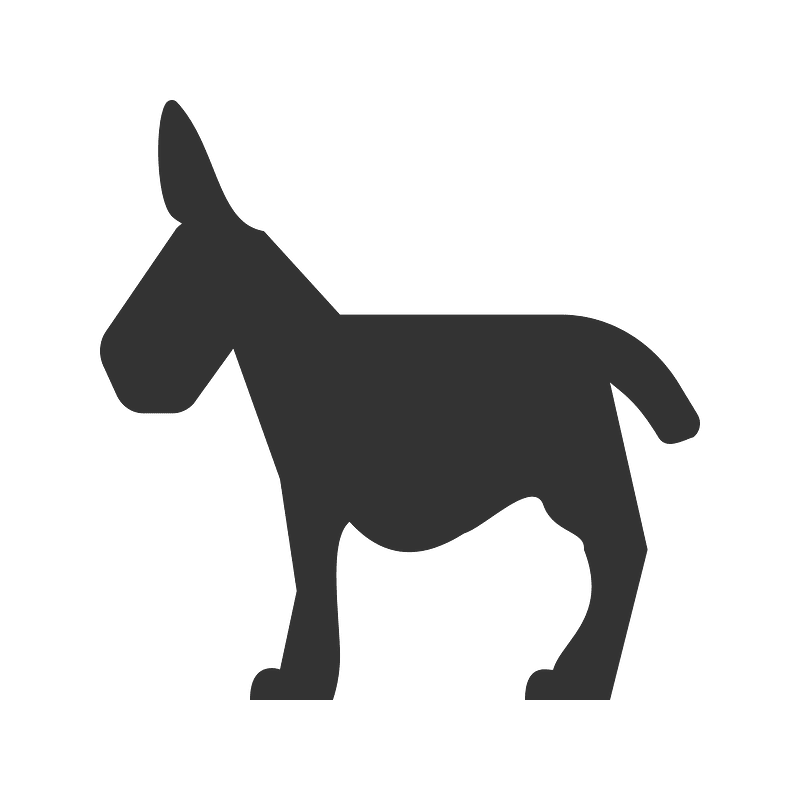 Donkey