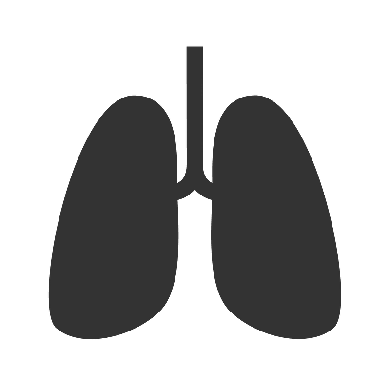 Lungs