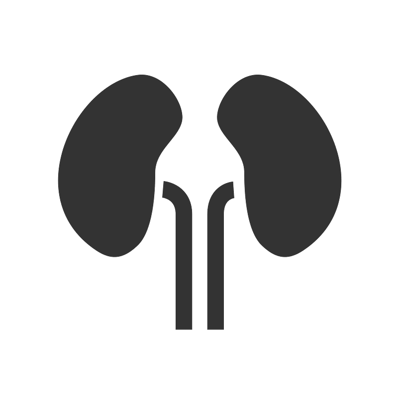 Kidneys