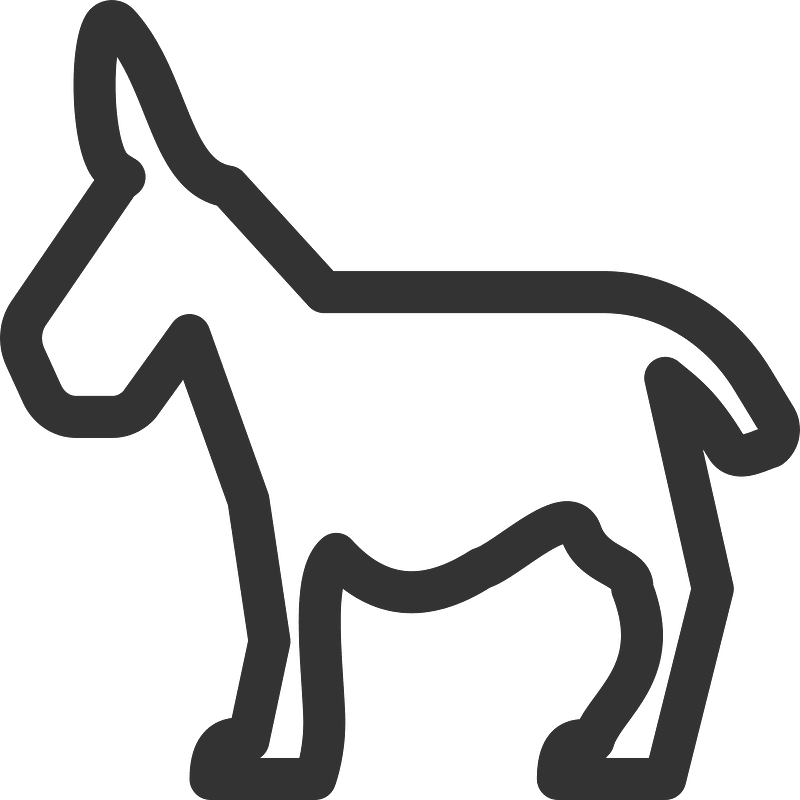 Donkey