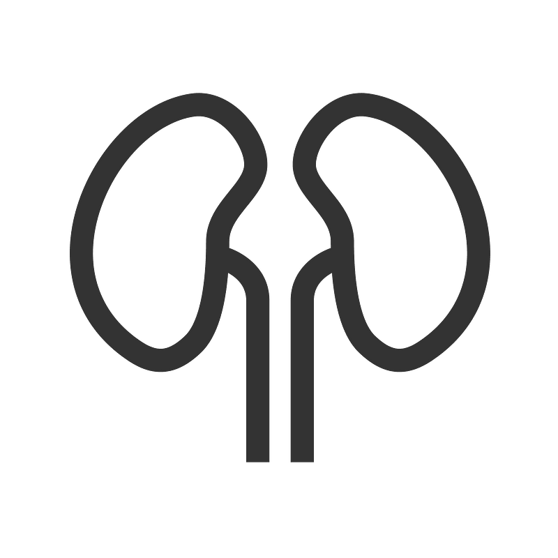 Kidneys