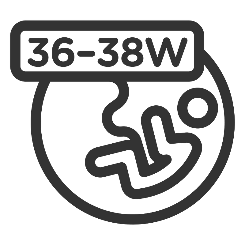 Pregnant 3638w