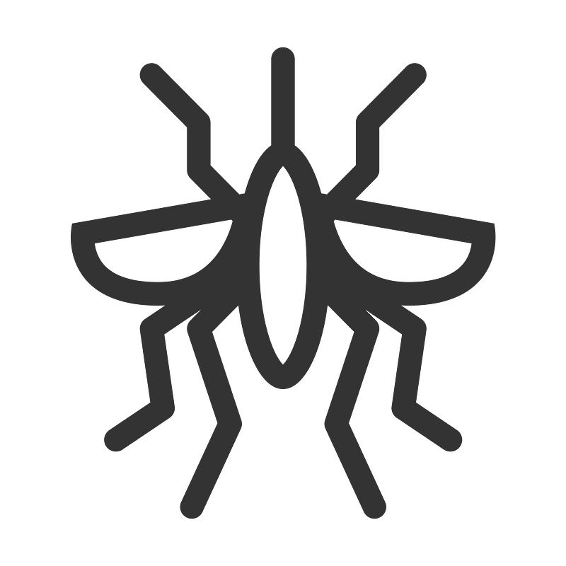 Mosquito