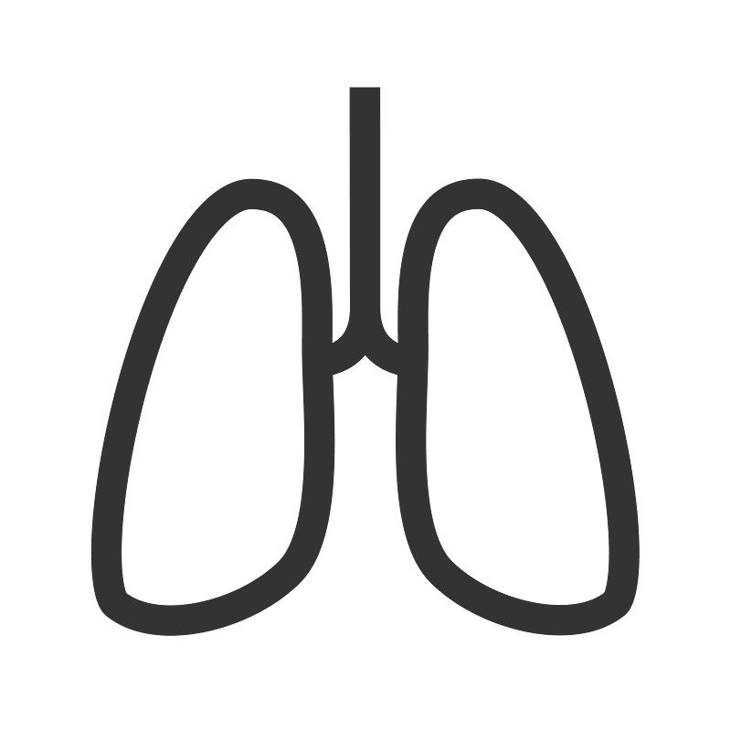 Lungs