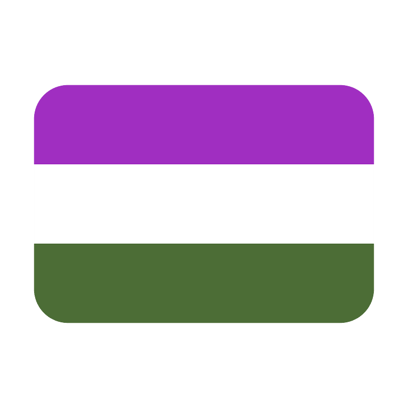 Gender queer flag