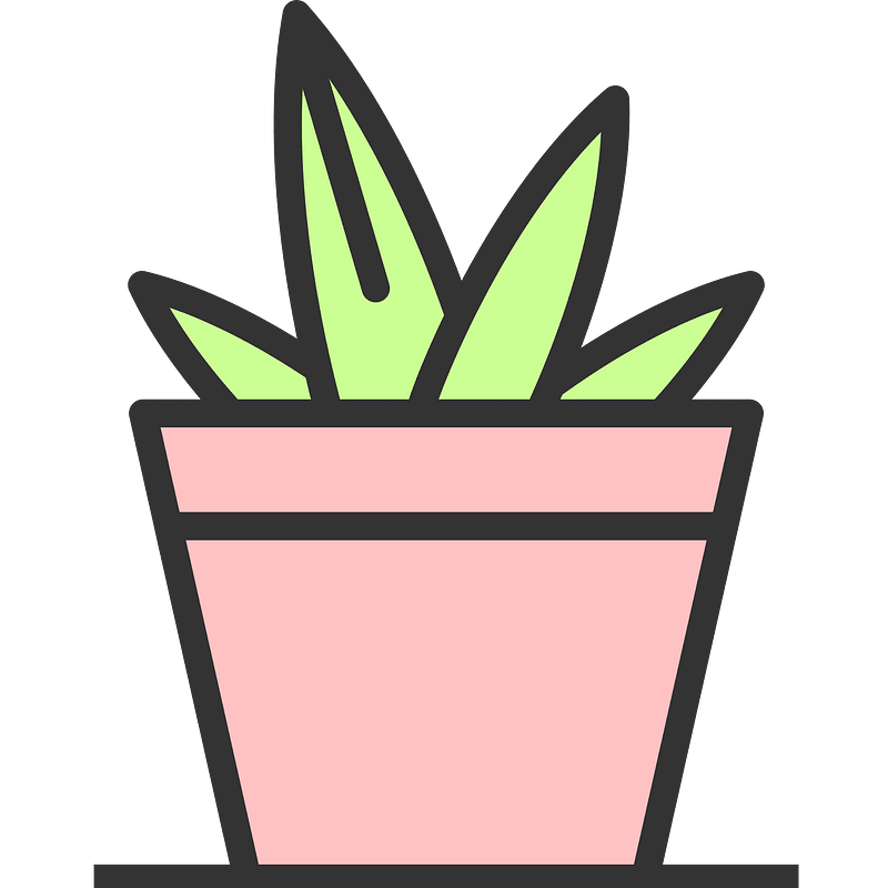 plant small