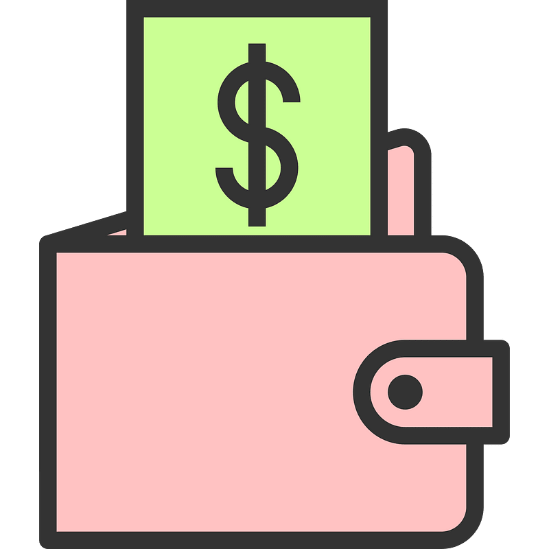 wallet with money