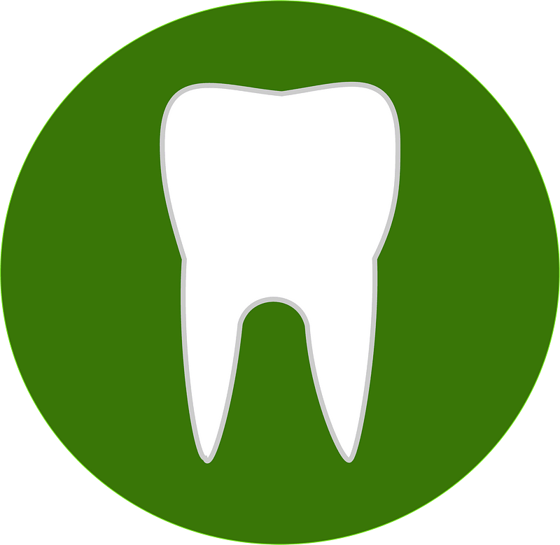 Teeth