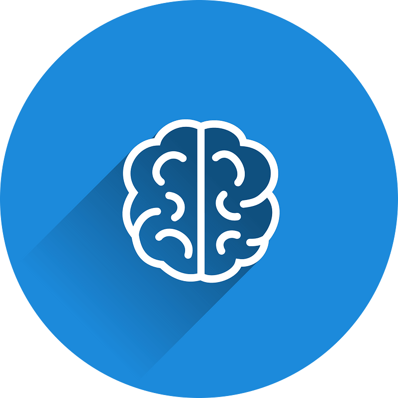 Brain