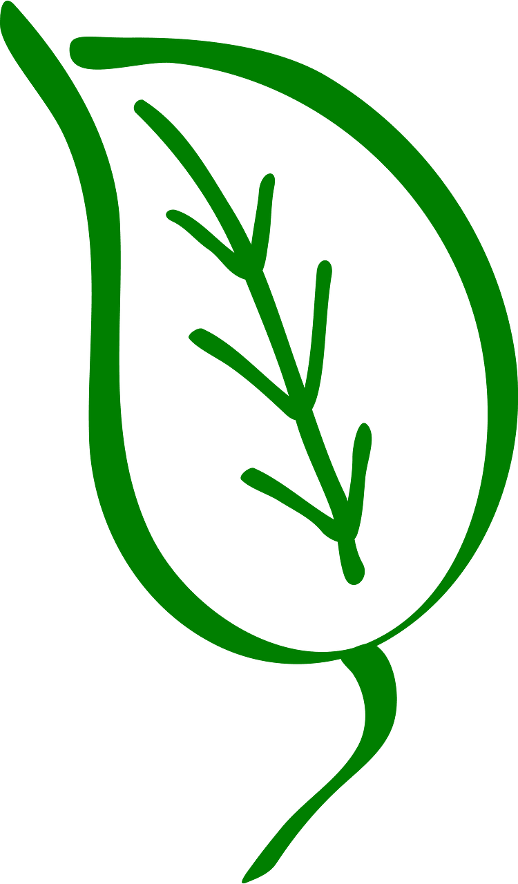 Leaf