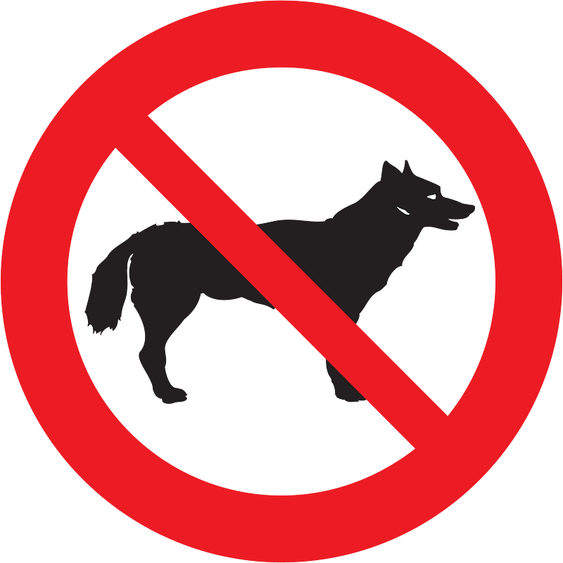 Dogs