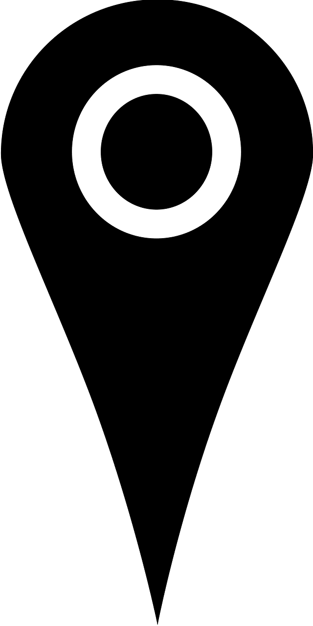 Pin