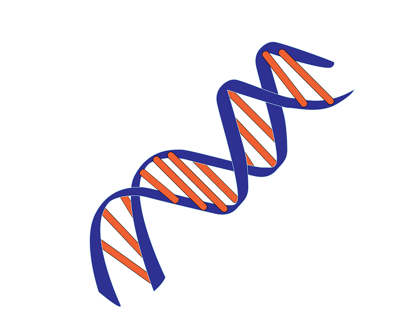 DNA small