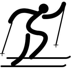 Cross-country skiing - Paralympic pictogram