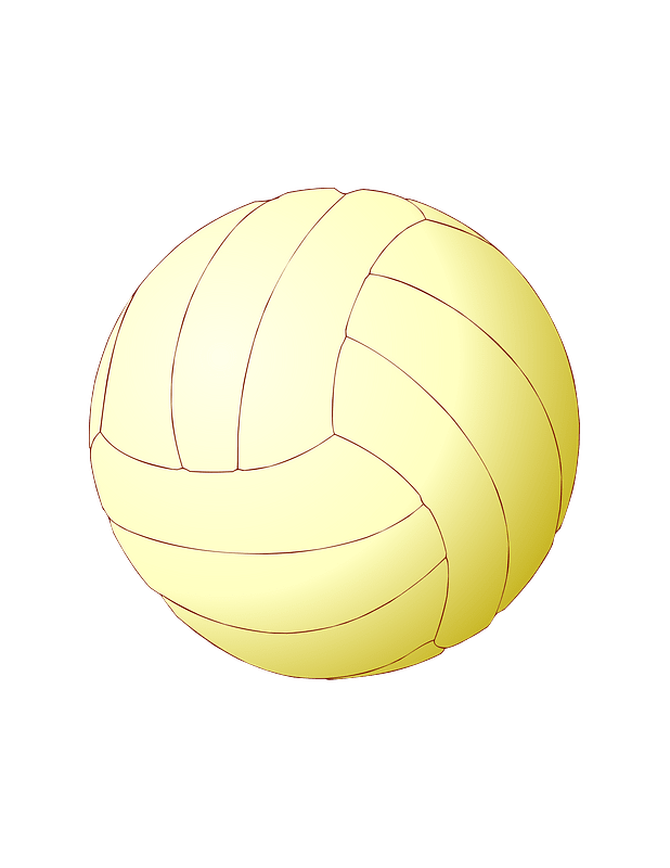 Volley-ball andrea bianc 01