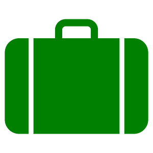 Suitcase icon green