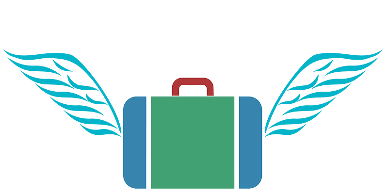 Suitcasewith wings 13