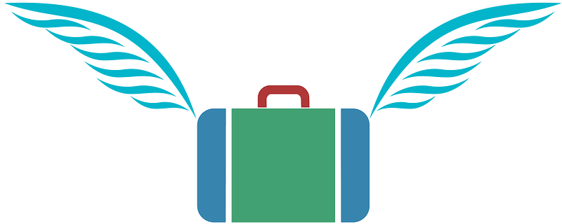 Suitcasewith wings 15