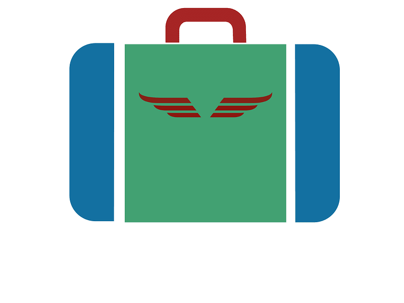 Wings inside suitcase v3