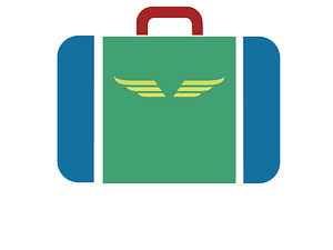 Wings inside suitcase v2