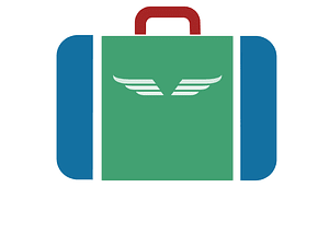 Wings inside suitcase v1