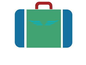 Wings inside suitcase v4