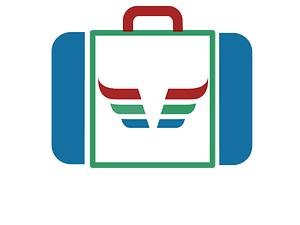 Suitcase icon blue green red dynamic v171