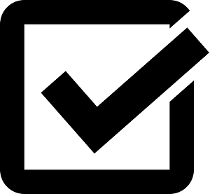 Check Box Noun project 10759