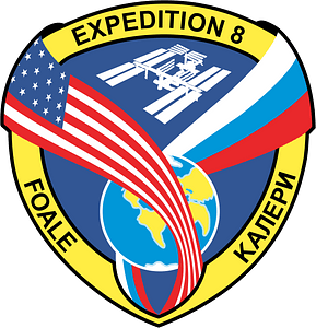 Expedition 8 insignia