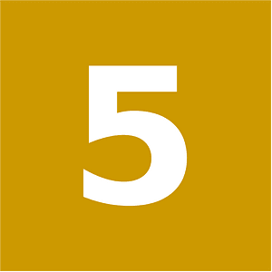 Amsterdam unofficial tram icon line 5