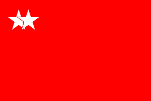 Flag of the Burma Socialist Programme Party (1962–1988)