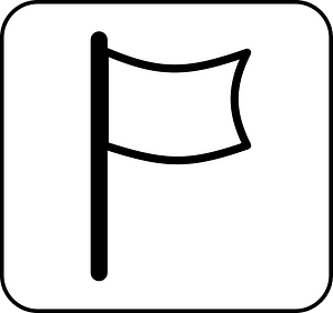 Flag icon in a square