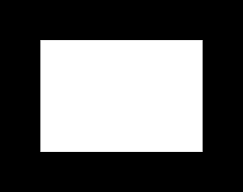 Flag border