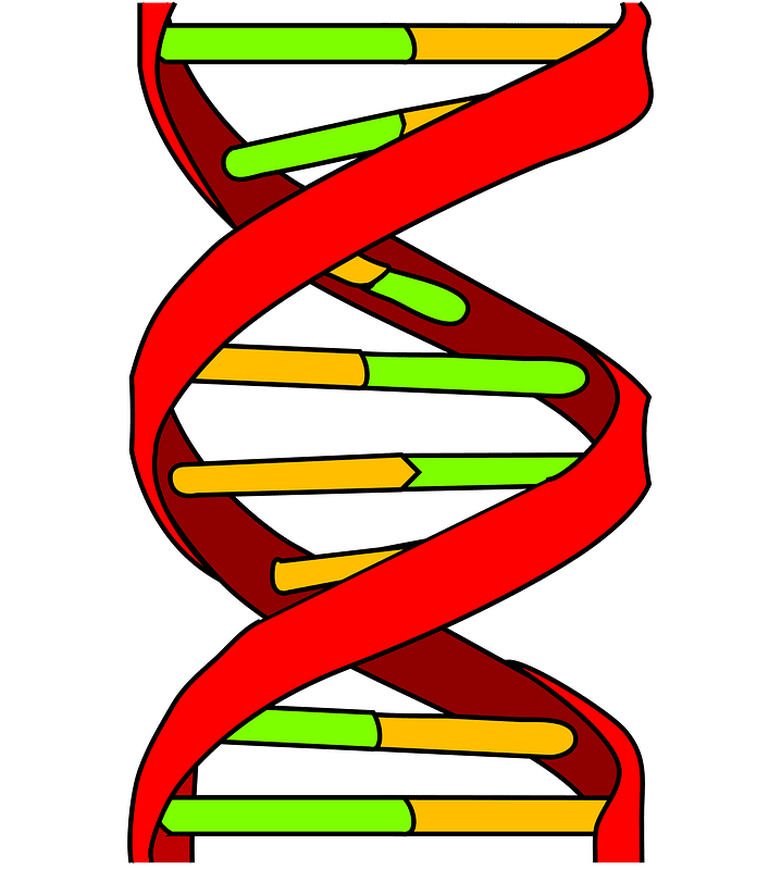 DNA icon