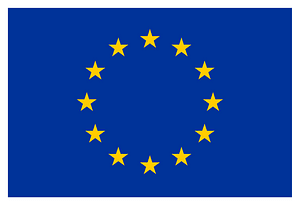 Flag of Europe color with border