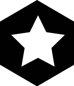Hex icon with star black